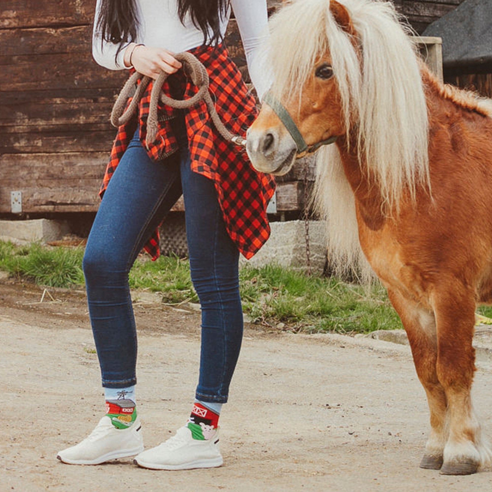 1 Pack Unisex Mismatched Novelty Odd Socks - Farm